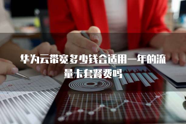 华为云带宽多少钱合适用一年的流量卡套餐费吗