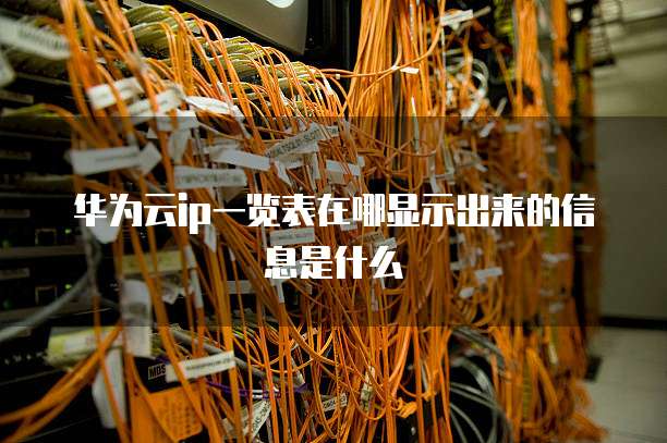 华为云ip一览表在哪显示出来的信息是什么