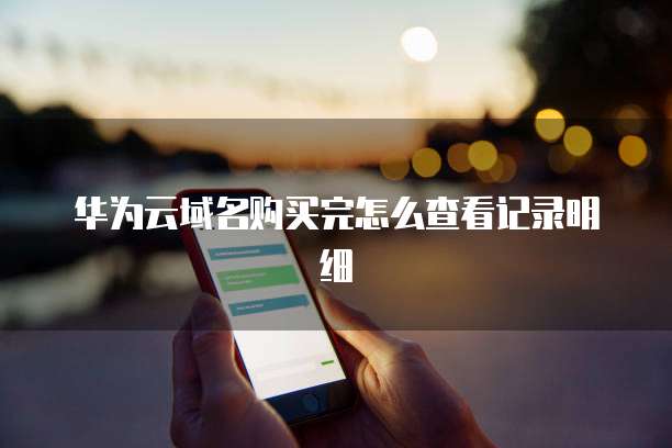 华为云域名购买完怎么查看记录明细