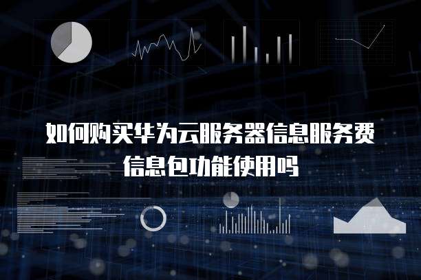 如何购买华为云服务器信息服务费信息包功能使用吗
