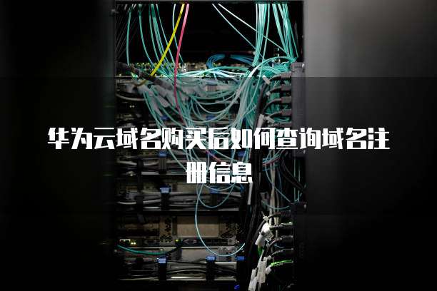 华为云域名购买后如何查询域名注册信息
