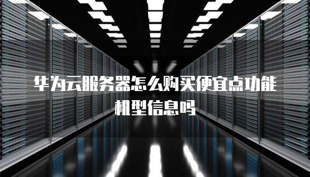 华为云服务器怎么购买便宜点功能机型信息吗