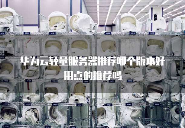 华为云轻量服务器推荐哪个版本好用点的推荐吗