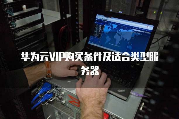 华为云VIP购买条件及适合类型服务器