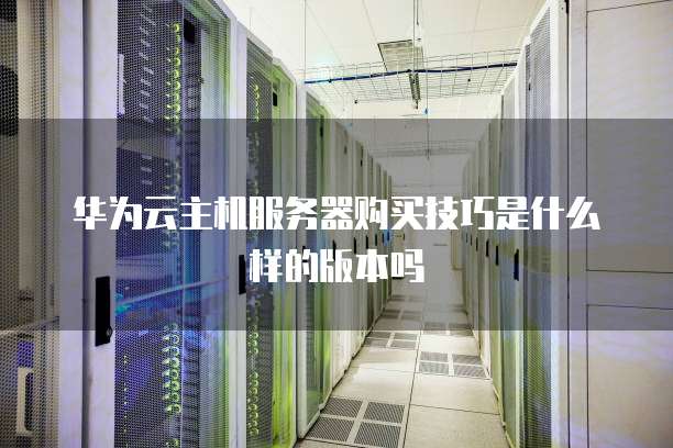 华为云主机服务器购买技巧是什么样的版本吗