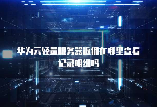 华为云轻量服务器返佣在哪里查看记录明细吗
