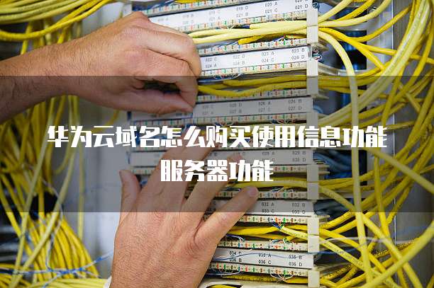 华为云域名怎么购买使用信息功能服务器功能