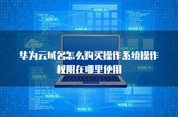 华为云域名怎么购买操作系统操作权限在哪里使用