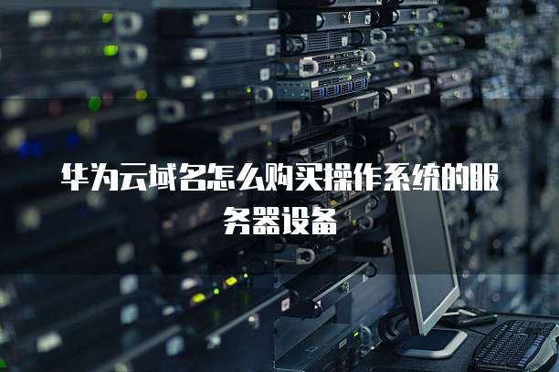 华为云域名怎么购买操作系统的服务器设备