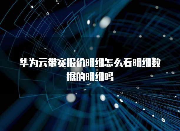 华为云带宽报价明细怎么看明细数据的明细吗