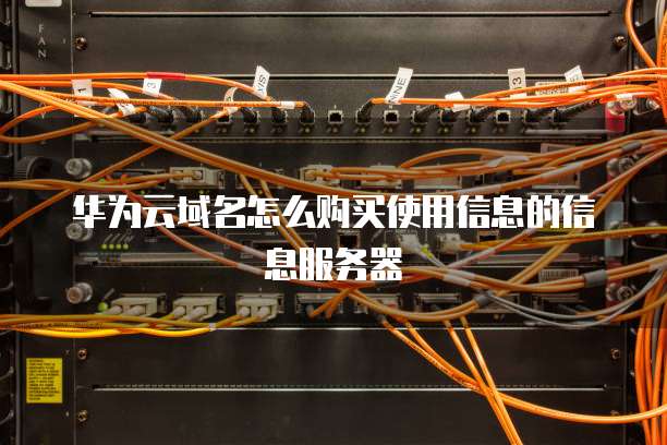 华为云域名怎么购买使用信息的信息服务器