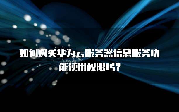 如何购买华为云服务器信息服务功能使用权限吗?