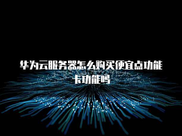 华为云服务器怎么购买便宜点功能卡功能吗