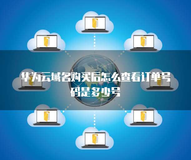华为云域名购买后怎么查看订单号码是多少号