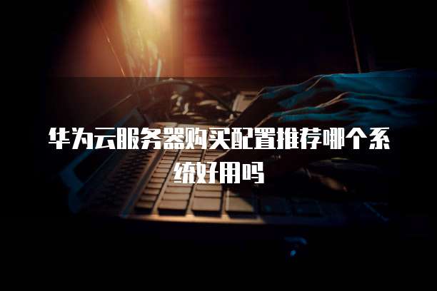 华为云服务器购买配置推荐哪个系统好用吗