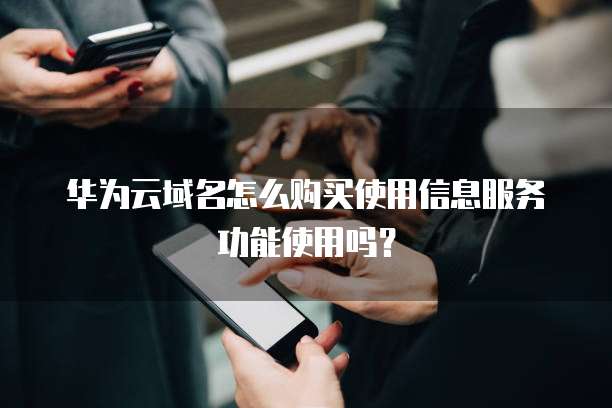 华为云域名怎么购买使用信息服务功能使用吗？