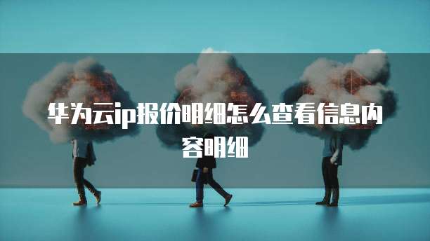 华为云ip报价明细怎么查看信息内容明细