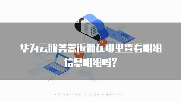 华为云服务器返佣在哪里查看明细信息明细吗?