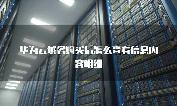 华为云域名购买后怎么查看信息内容明细