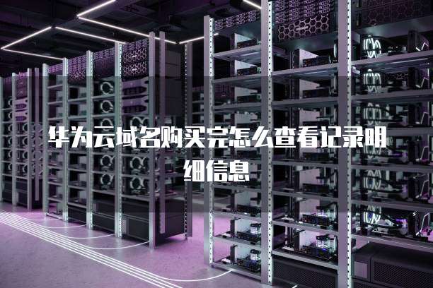 华为云域名购买完怎么查看记录明细信息