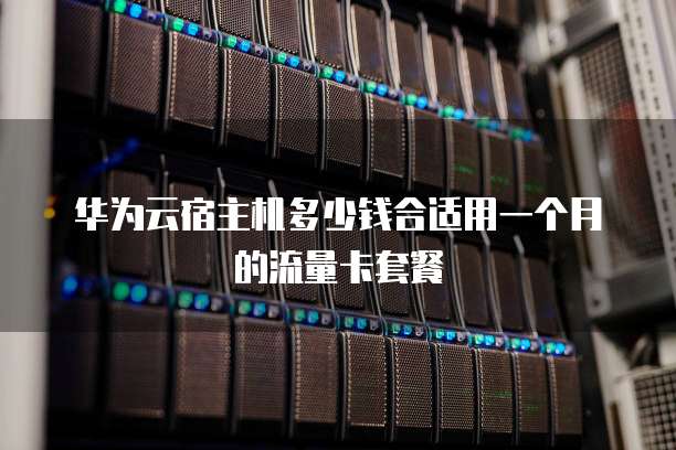 华为云宿主机多少钱合适用一个月的流量卡套餐