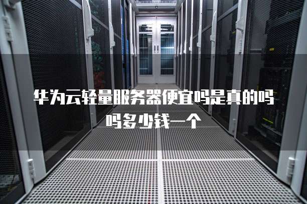 华为云轻量服务器便宜吗是真的吗吗多少钱一个