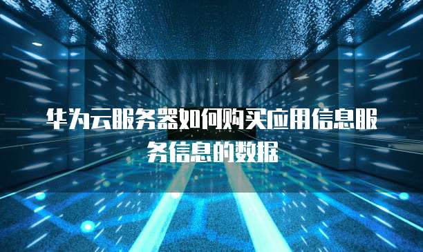华为云服务器如何购买应用信息服务信息的数据