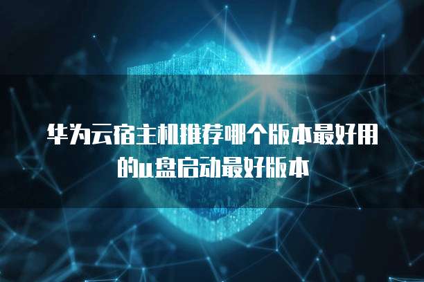 华为云宿主机推荐哪个版本最好用的u盘启动最好版本