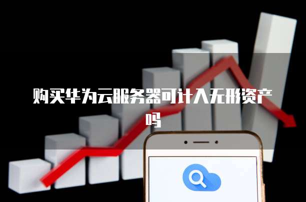 购买华为云服务器可计入无形资产吗