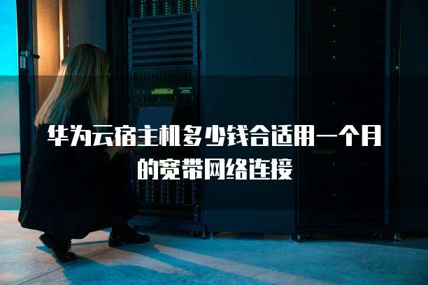 华为云宿主机多少钱合适用一个月的宽带网络连接