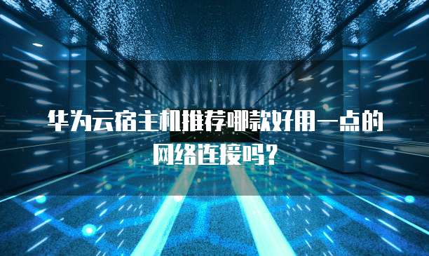 华为云宿主机推荐哪款好用一点的网络连接吗?