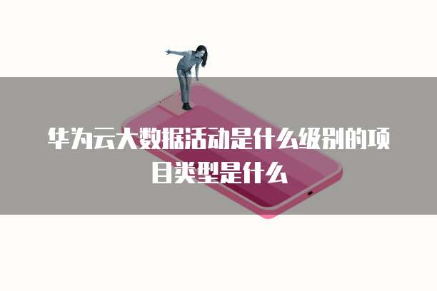 华为云大数据活动是什么级别的项目类型是什么