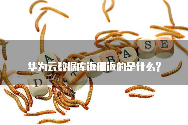 华为云数据库返佣返的是什么?