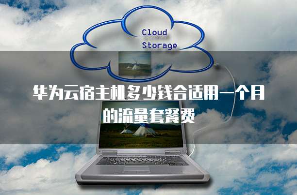 华为云宿主机多少钱合适用一个月的流量套餐费