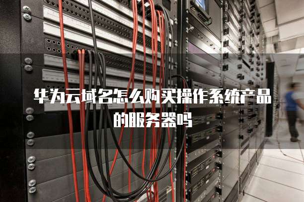 华为云域名怎么购买操作系统产品的服务器吗