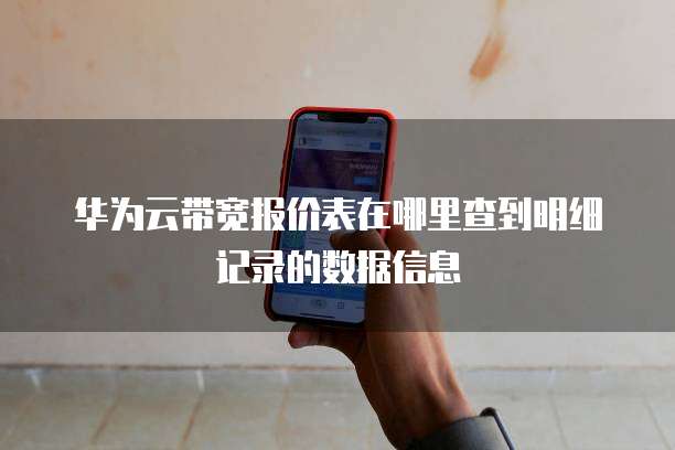 华为云带宽报价表在哪里查到明细记录的数据信息