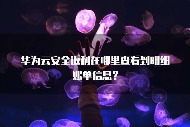 华为云安全返利在哪里查看到明细账单信息?