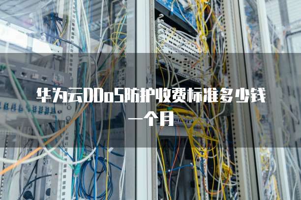 华为云DDoS防护收费标准多少钱一个月