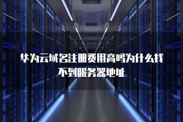 华为云域名注册费用高吗为什么找不到服务器地址