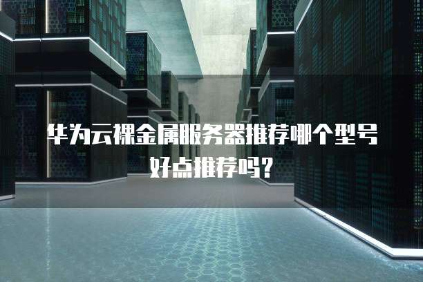 华为云裸金属服务器推荐哪个型号好点推荐吗?