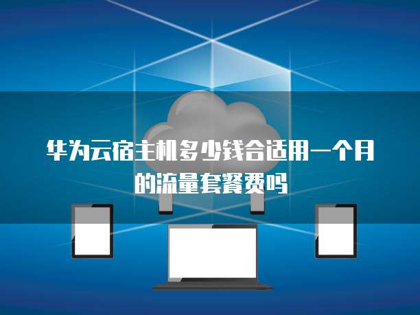 华为云宿主机多少钱合适用一个月的流量套餐费吗