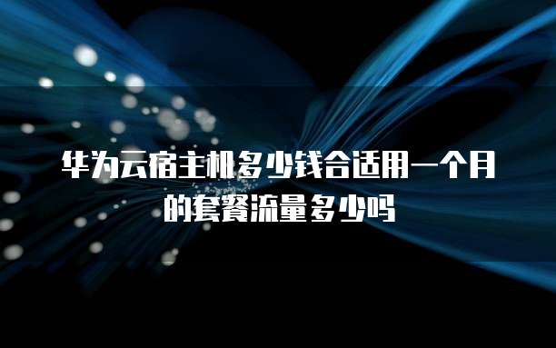 华为云宿主机多少钱合适用一个月的套餐流量多少吗