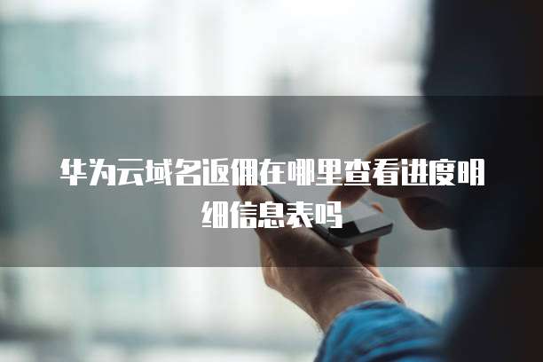 华为云域名返佣在哪里查看进度明细信息表吗