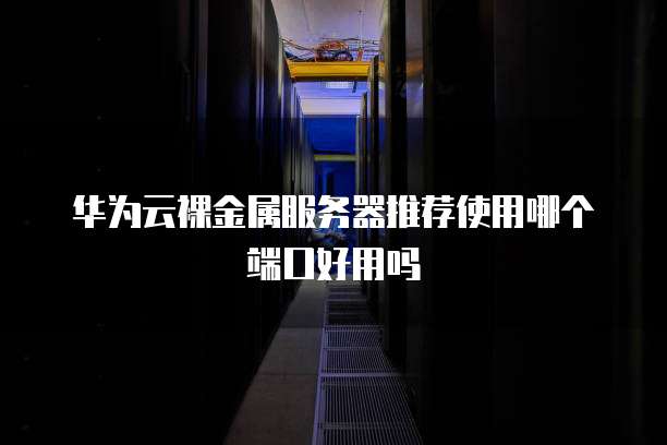 华为云裸金属服务器推荐使用哪个端口好用吗