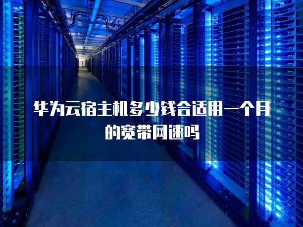 华为云宿主机多少钱合适用一个月的宽带网速吗