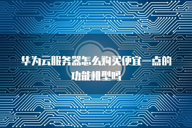 华为云服务器怎么购买便宜一点的功能机型吗