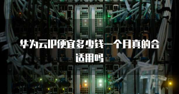 华为云IP便宜多少钱一个月真的合适用吗