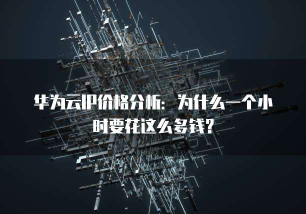 华为云IP价格分析：为什么一个小时要花这么多钱？