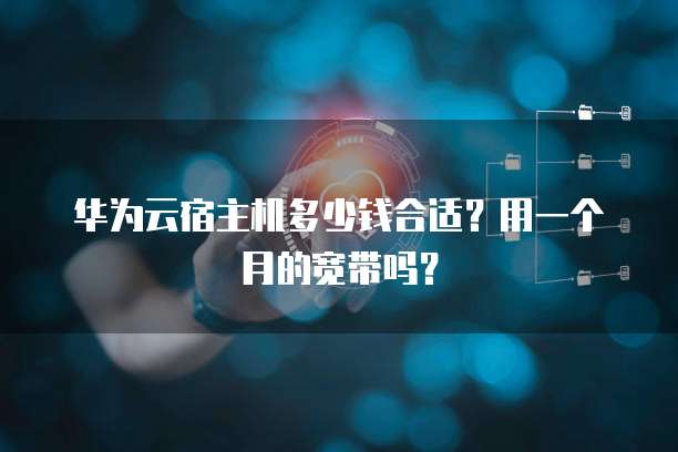 华为云宿主机多少钱合适?用一个月的宽带吗?