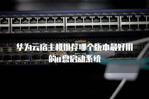 华为云宿主机推荐哪个版本最好用的u盘启动系统